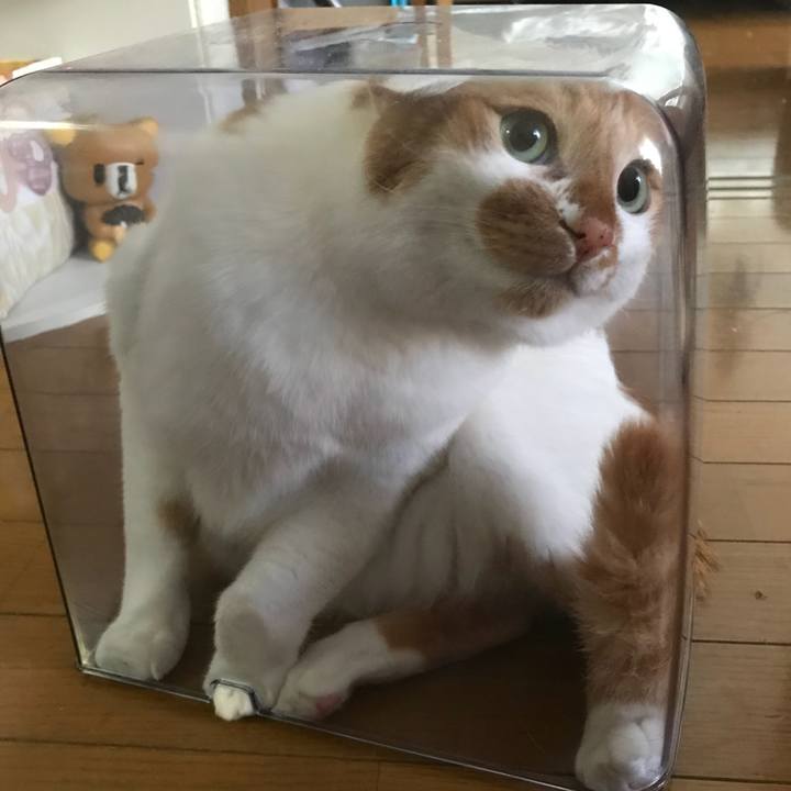 Fdabda11 311e 427d 89cb 9495abd781b4 1522368257726