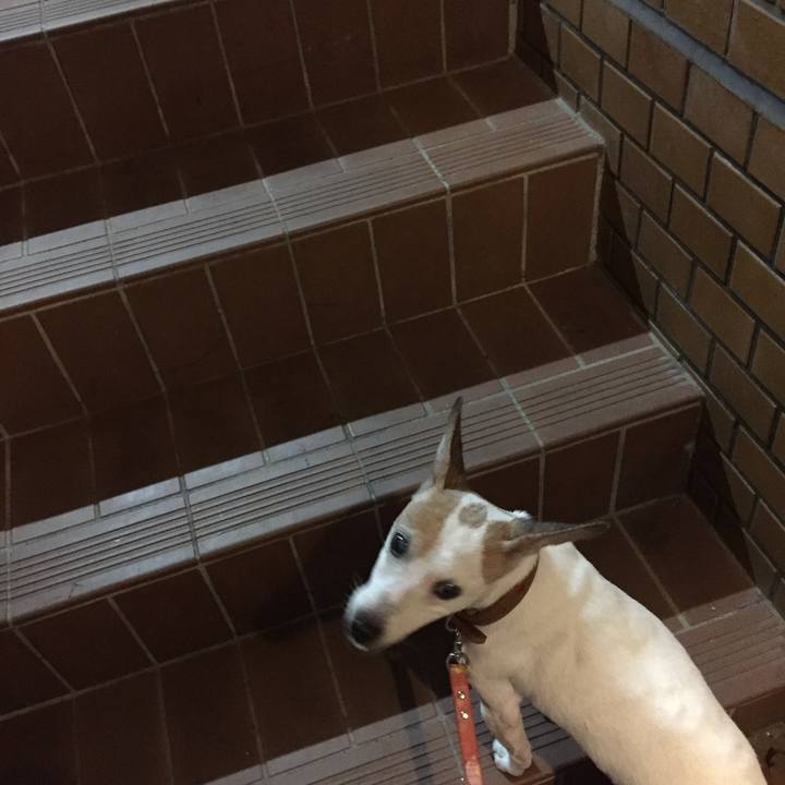 Fdabf392 7b4b 4509 abb2 6a7aa26c98e3 1537182169540