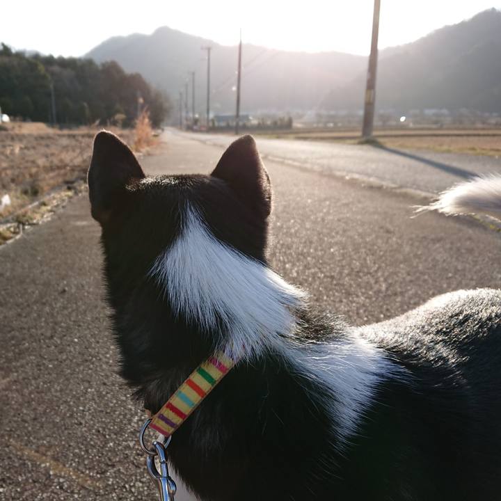 Fdabf7b4 5672 4e41 a752 6e75cb69e26d 1520378688737