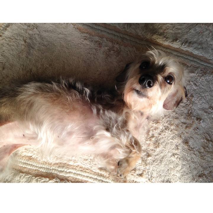 Fdac0b61 3b74 444f a2d9 3e3bb2b286d9 1522205523789