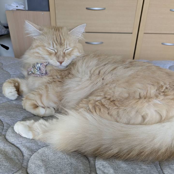 Fdac1f9a bb0c 4025 a28a 9ab012e8e555 1757377939475