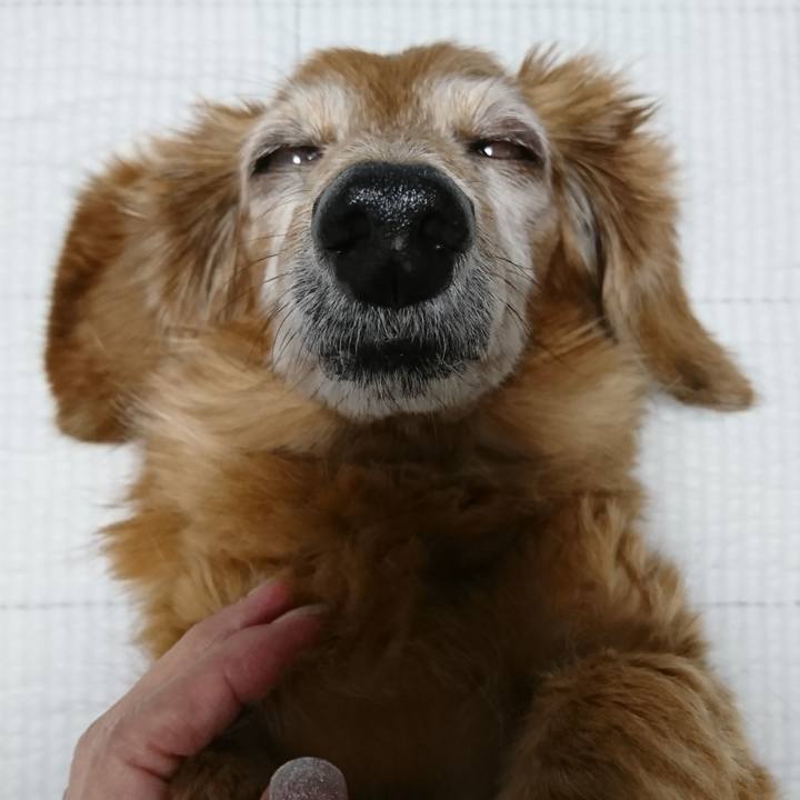 Fdac25a0 f61e 4827 9919 9cffb00b66e1 1602433465307