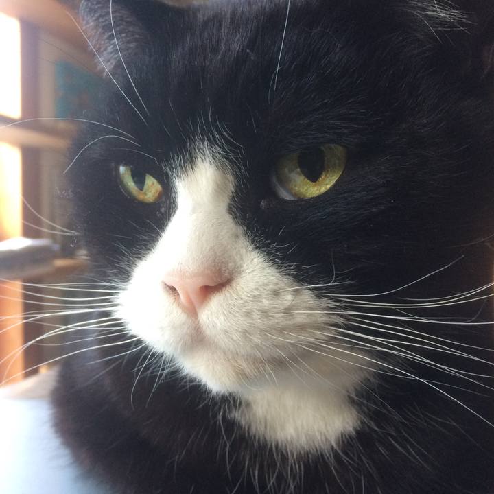 Fdac2df6 3c86 4a14 91d2 a1ea0b1b8d0f 1516923310648