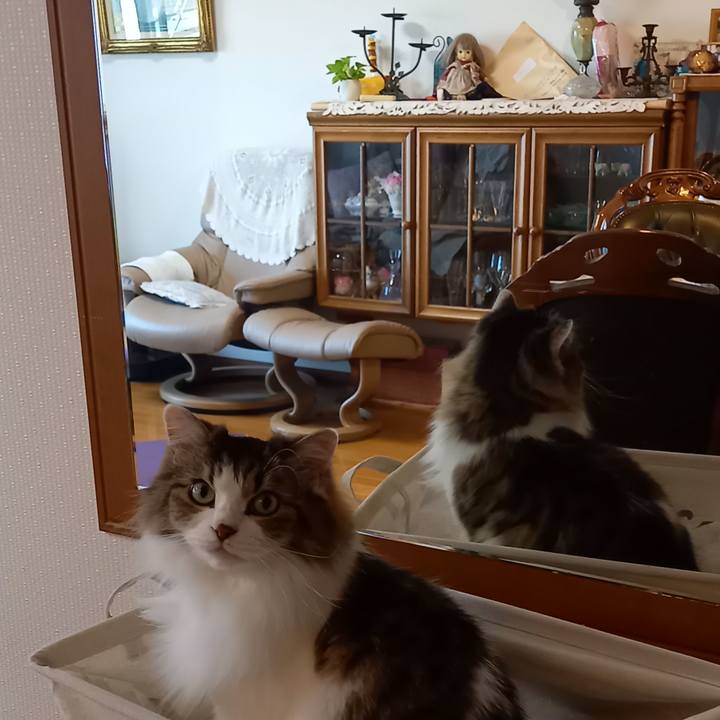 Fdac47c1 031c 4d2a aefa 9352d6092fa5 1632101800964