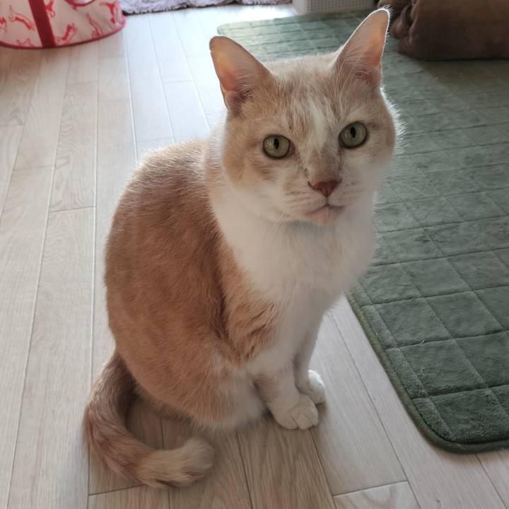 Fdac5d3f f887 4595 b58f a2800cdb425a 1635719379851