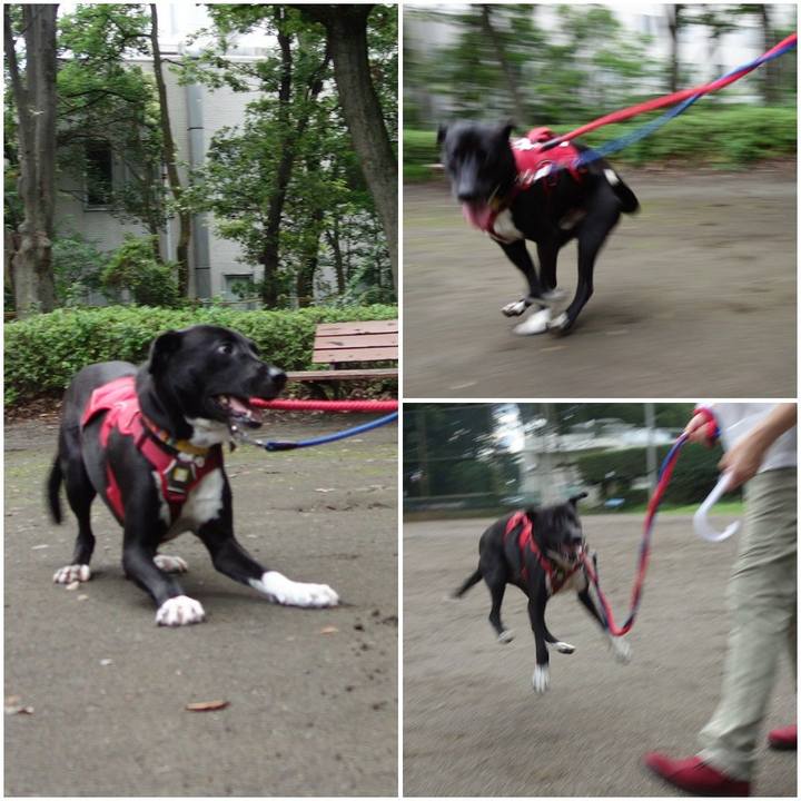 Fdac658a 252c 4c75 b6bd 09e876739472 1594117922718