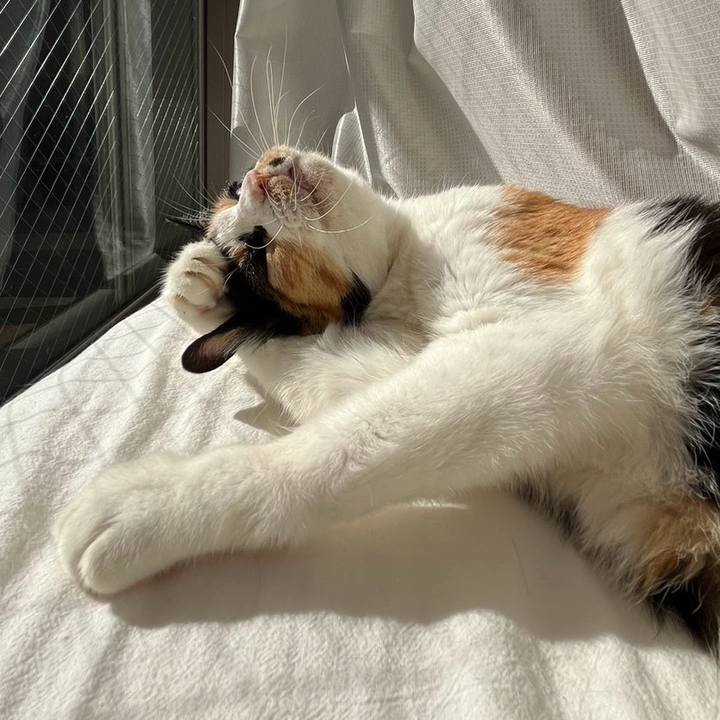 Fdac7d8e ea4a 41a9 a232 18bd60a83132 1728880999430