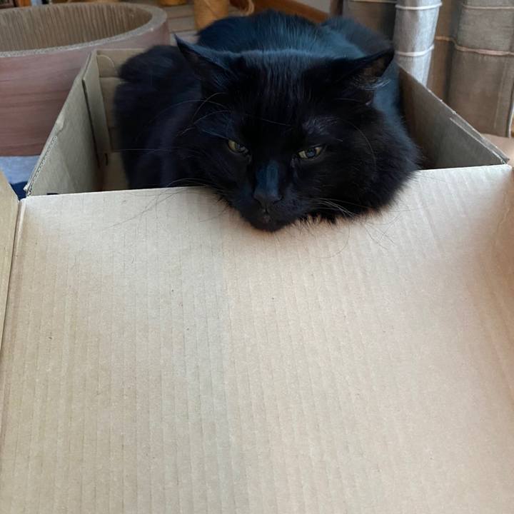 Fdac7f02 e07c 43c0 8542 0667d1293678 1611626863434