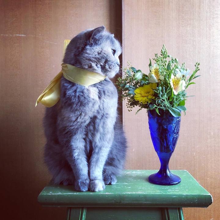 Fdacdac0 98cd 457c bad3 664a3129c152 1675562314957