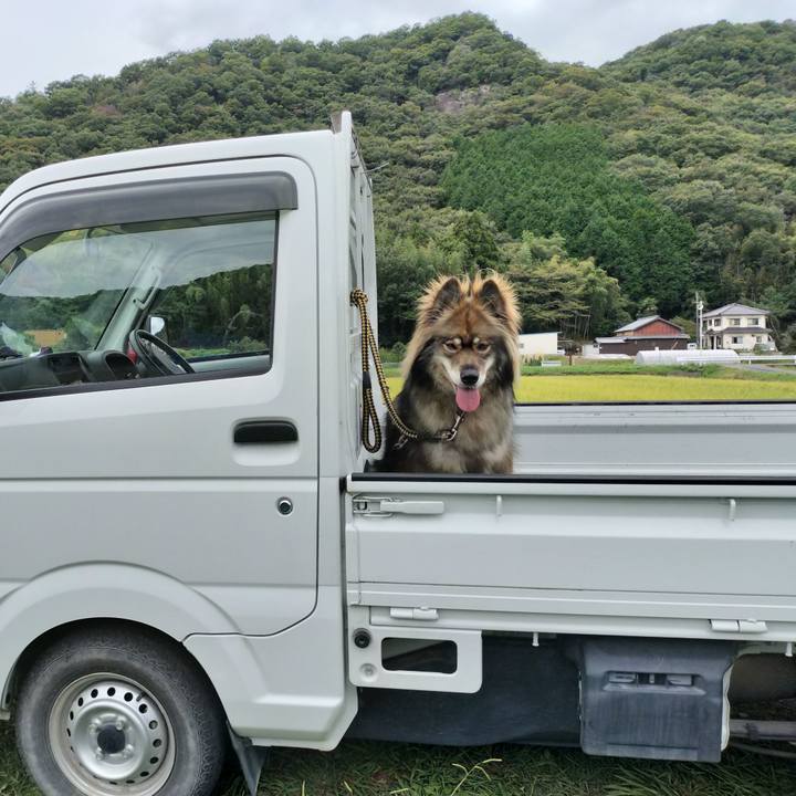 Fdad5b26 fb02 4d13 ad0b 7a918bfd3e51 1663117497784