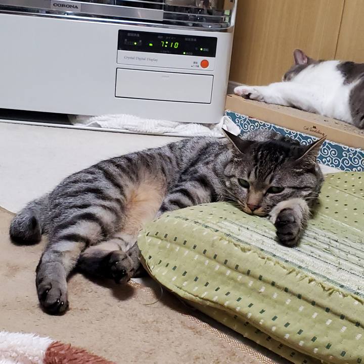 Fdad5b56 d2d9 42e0 b6aa b5525782bc77 1721367783885