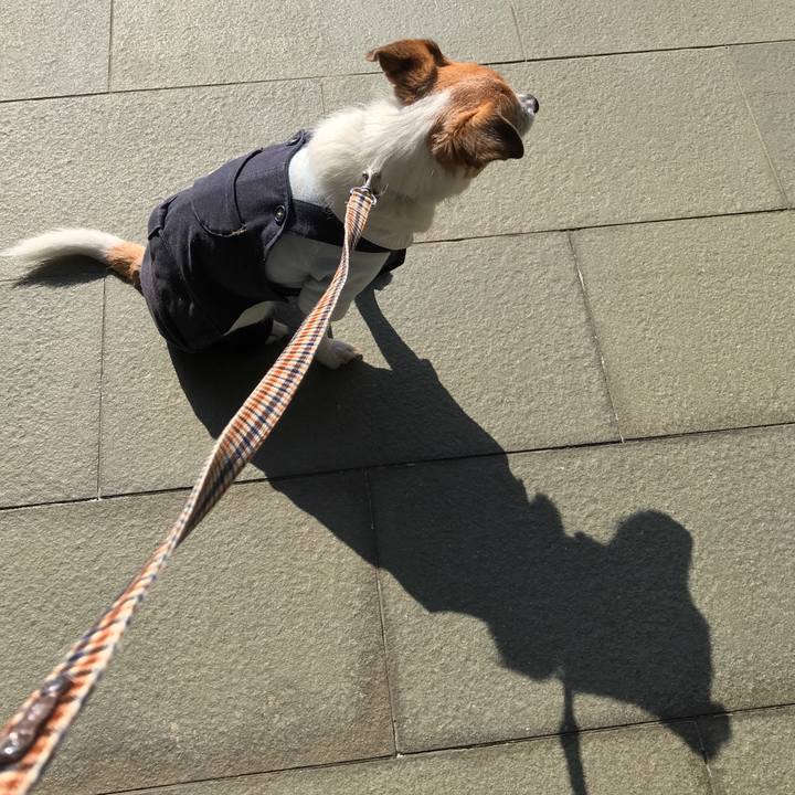 Fdad791f e473 4b59 a203 3dc3c4b3ea27 1583023807173