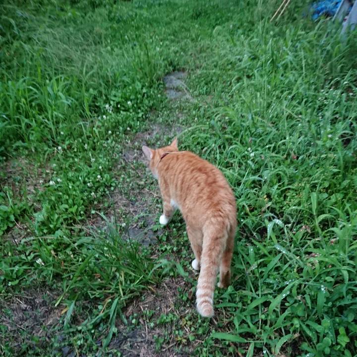 Fdad8feb e068 4cc6 85dc bb6d6c6aaa18 1566984612415