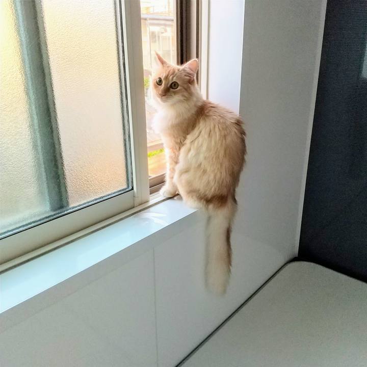 Fdad9b63 825b 4c0c a522 158e2652d18f 1623363132082