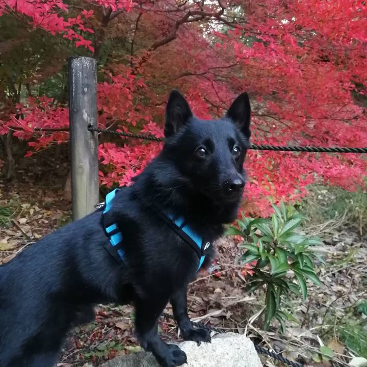 Fdad9b66 83e5 43d2 ba49 31a4727be2ff 1638482428343