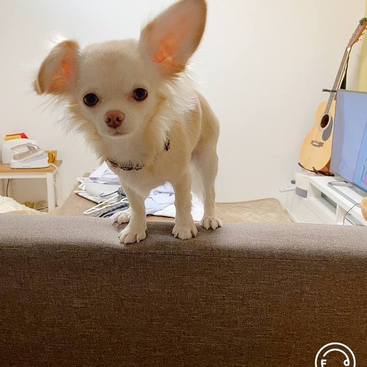 Fdada0f0 e0f0 41c8 a98f f1818fcef0cb 1604563048646