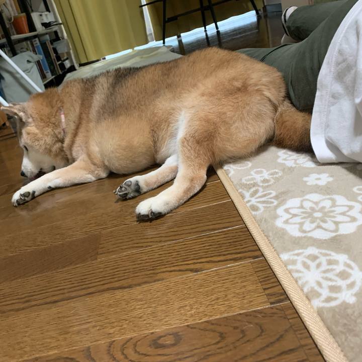 Fdada5b9 7478 4dda 88dd 28be349e2299 1660984420765