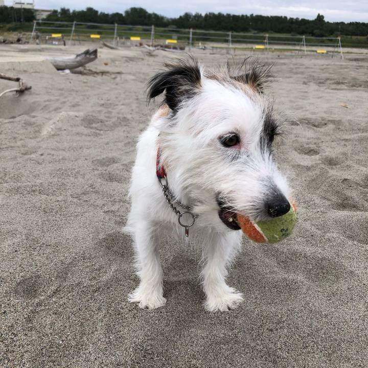 Fdadffd0 16f7 4dee 8ed1 d6ab0e4c6e79 1601506141049