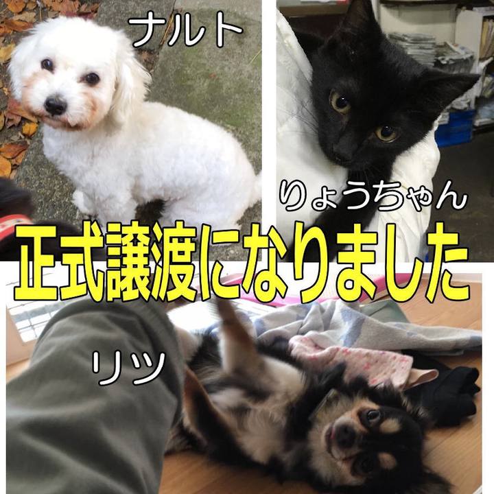 Fdae1333 2eb3 44ec 933a cd4507ca57d8 1552280278036