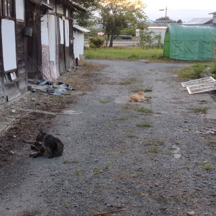 Fdae30fa cd44 4a65 a74f 5ee400ba071f 1692048205218