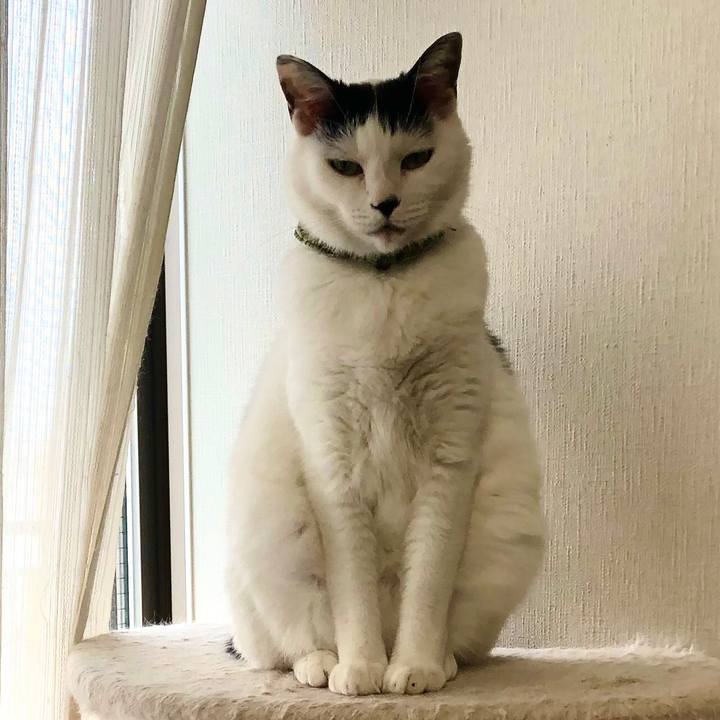 Fdae37b7 405d 4706 b3e2 f9a382192d5a 1571268675531