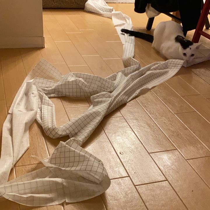 Fdae4953 9979 4e72 a99d eb18af202327 1673747247272