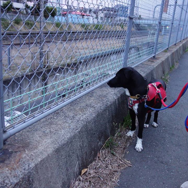 Fdae4ca9 8077 4414 930e e8e6e0d1f620 1587560372024