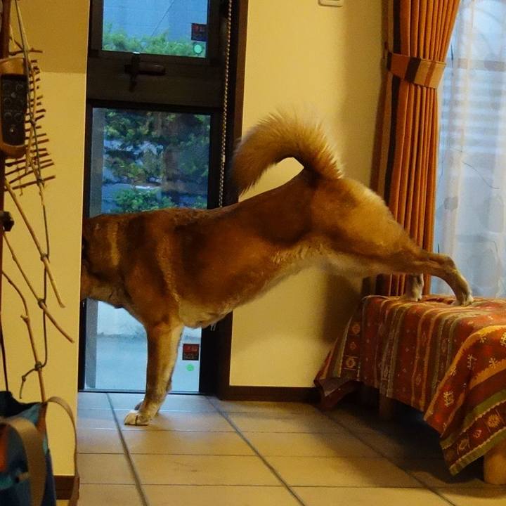 Fdae77bc c55c 4ac9 b4ad e52241c2f661 1637192545364