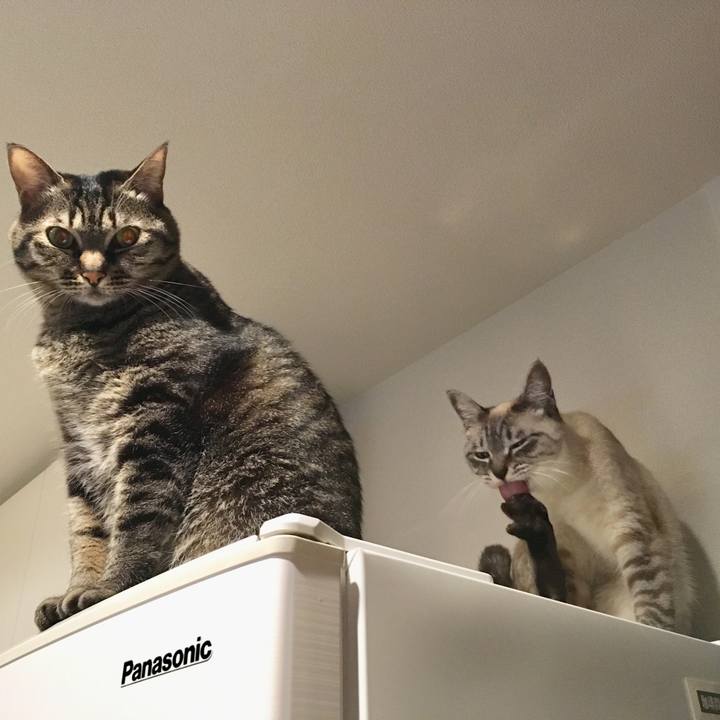 Fdaeb247 5a5a 42f2 9fb0 74c2884d4750 1579872419432