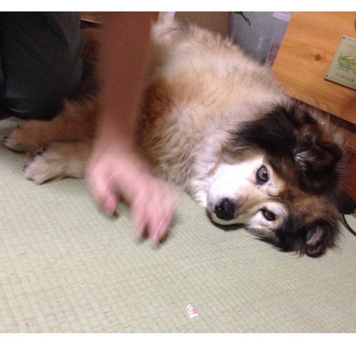 Fdaec5b6 dbdc 4063 a479 06d328258eb1 1551227924576