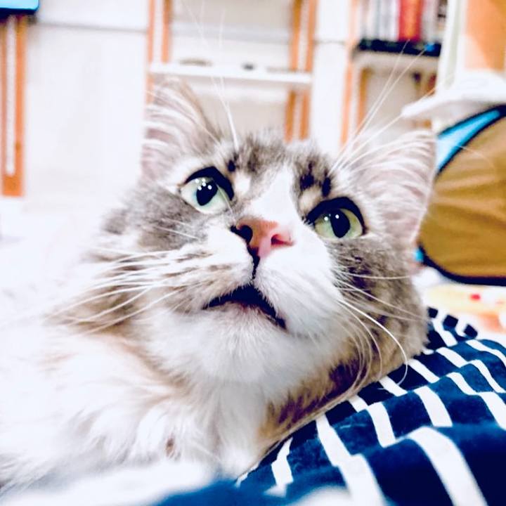 Fdaed7db 1a2a 4330 a6d3 bf8f1164c576 1759417831373