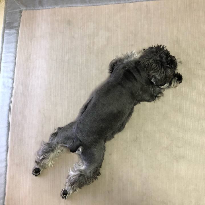 Fdaef062 7f92 4c45 857e 599d6a199dc4 1632537372942