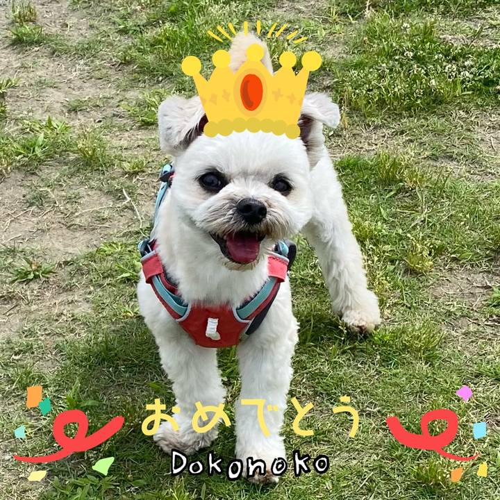 Fdaef980 219d 45c0 a0a3 abfcc5669c79 1685965344715