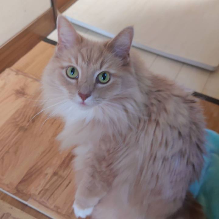 Fdaf0e1d 5977 4c6b 8d08 e5323c04b86b 1654589791678