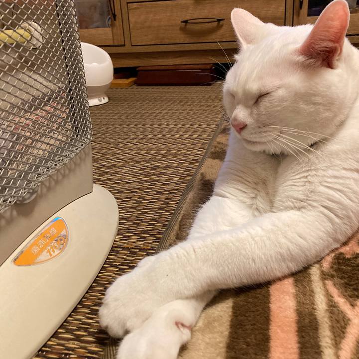 Fdaf14f9 78a7 4d84 a71f f0cf5d054a50 1644326203620