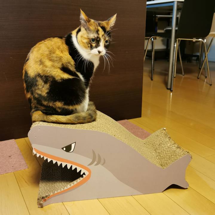 Fdaf1520 a261 4108 a058 4e2cf1eb5e66 1674283475331