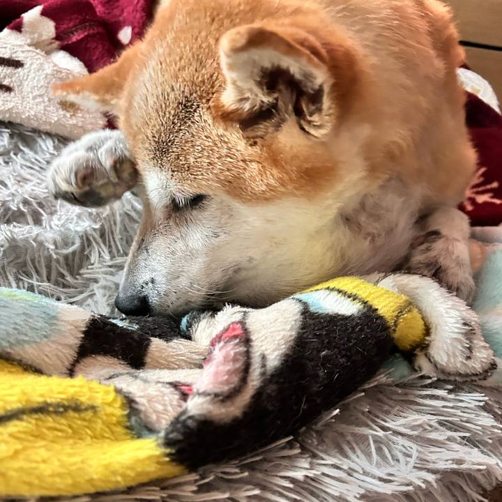 Fdaf2727 fce7 42c1 9e2f 0bc4d0f3d898 1760237700147