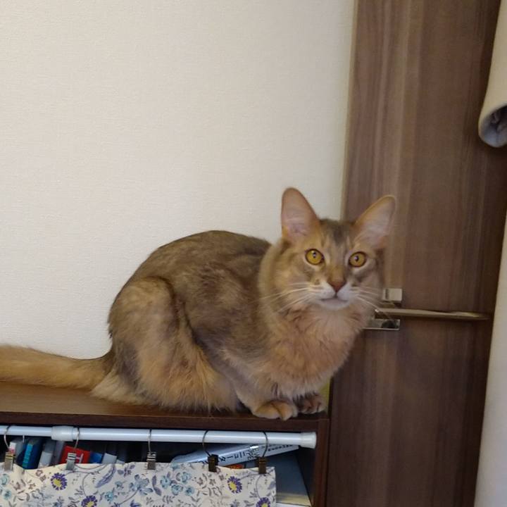 Fdaf34c1 f075 4f59 a741 6f1c6f341083 1607496904606