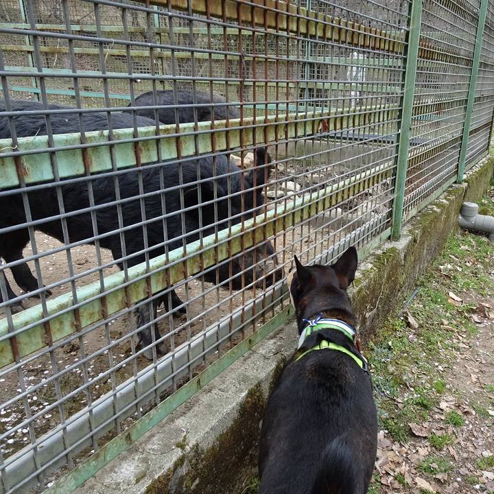 Fdaf4d4f e686 41d7 8d0d d89346db2fa6 1617454366702