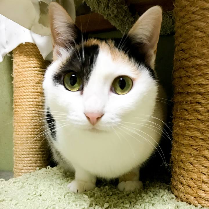 Fdaf4eed c195 47c9 b9af cc6aa86ba35c 1517052293657