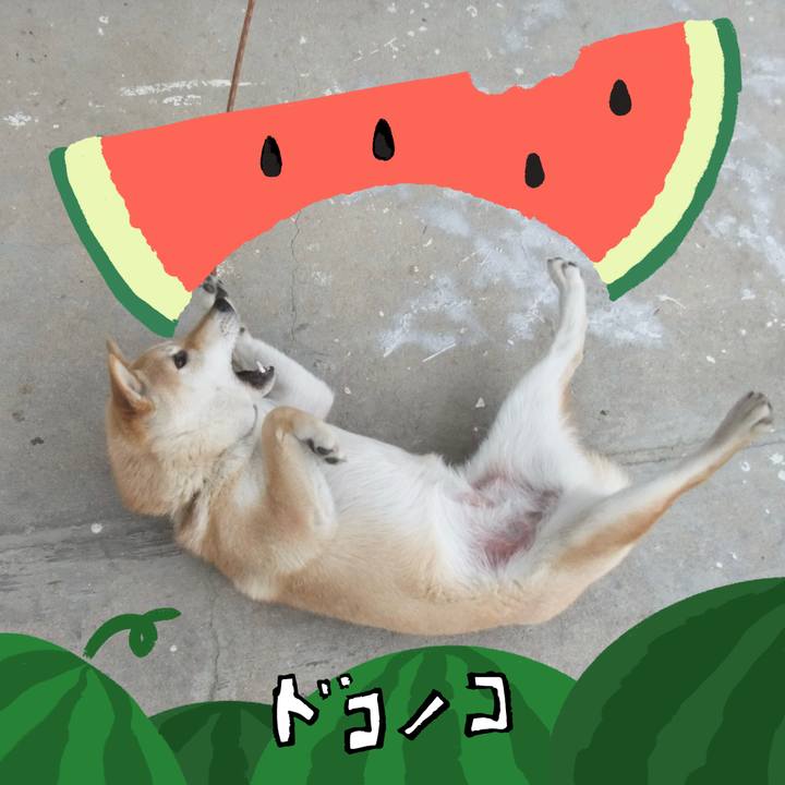 Fdaf57e8 32b8 41f8 a8d5 c0ef57a8703f 1721051424751