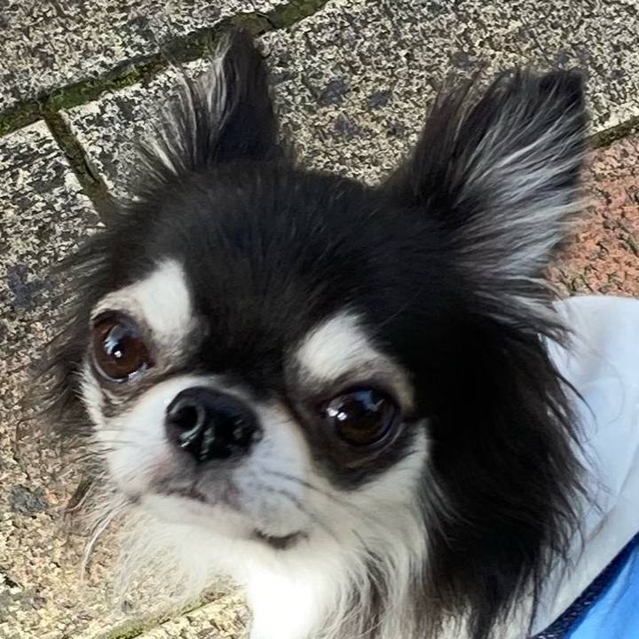 Fdaf590b 7c73 4a5a b325 b797dd41bc1a 1668350888269