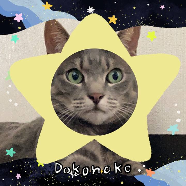 Fdaf8023 c1f3 440b b556 8a0e0559031e 1720788340231