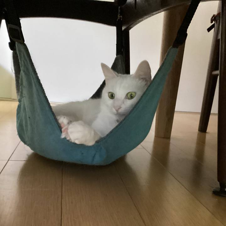 Fdafb26a 1e0c 4fe2 bda6 5d49029d8b48 1658719552062