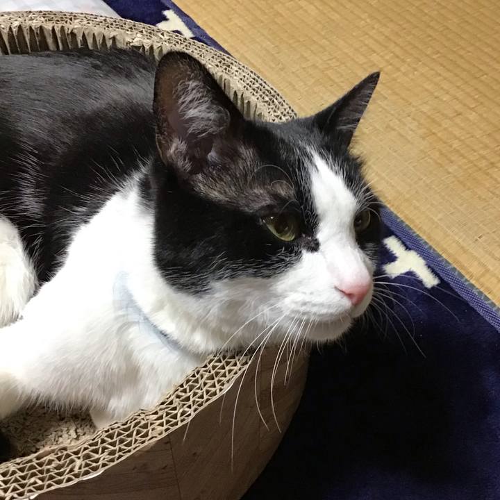 Fdb0101f 0b03 4488 8d1f e37f494a8af6 1706435692453