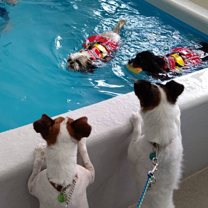 Fdb02f01 0de2 476d bde3 014ae930aed2 1624611335964