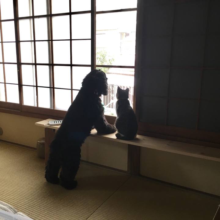 Fdb041de c28e 4232 bc8d fb6f4a21104c 1511758249842