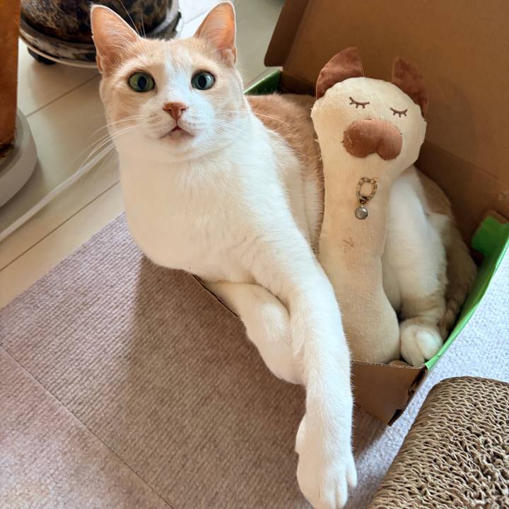 Fdb0487d a39f 4ab3 b34e 413480140aa7 1791682577837