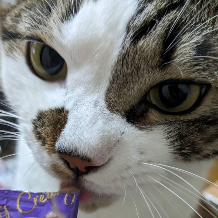 Fdb07dba 4c83 436c 8d76 93c1961ab381 1695295583031