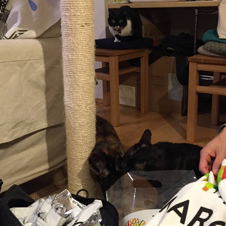 Fdb09ad1 b0e3 4986 8e09 5caa26cfcd5e 1519566069903